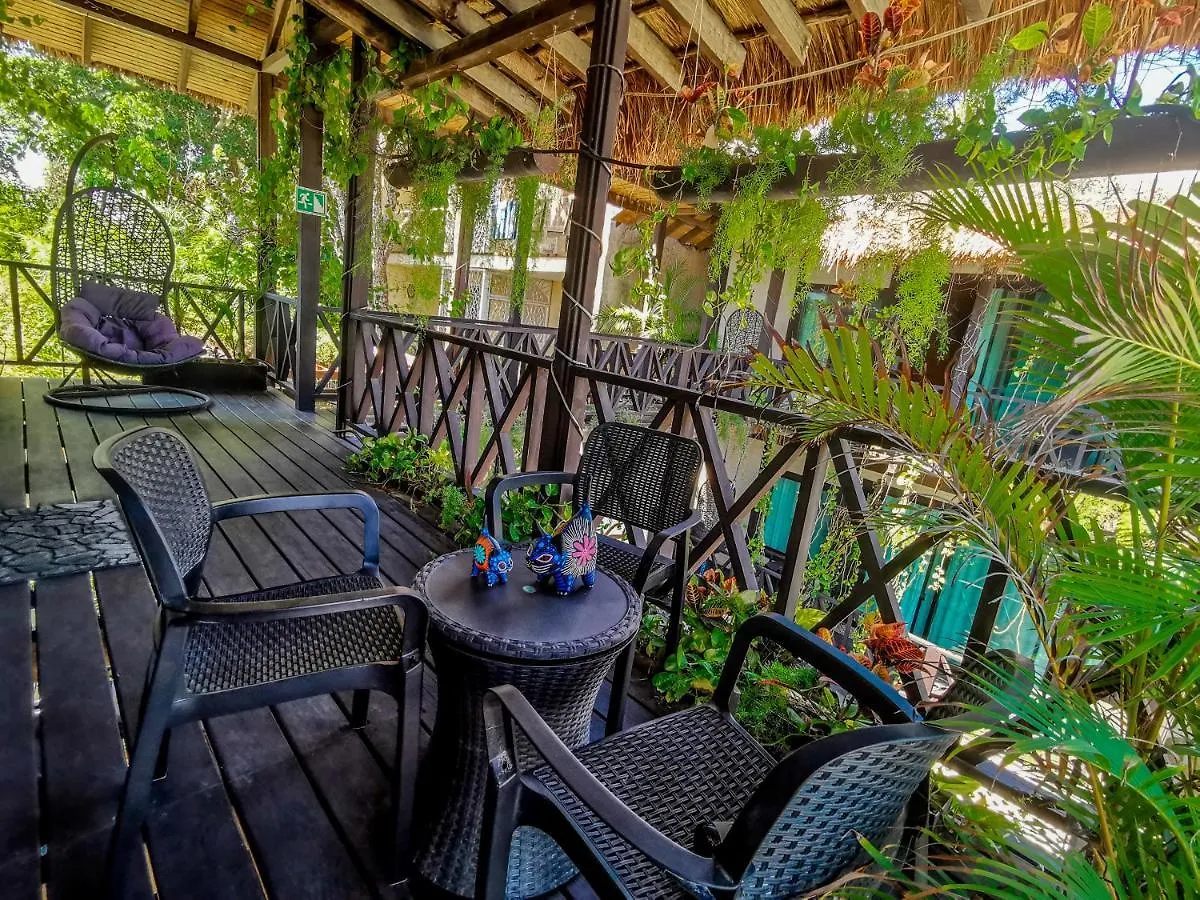 Alicat Villas Tulum