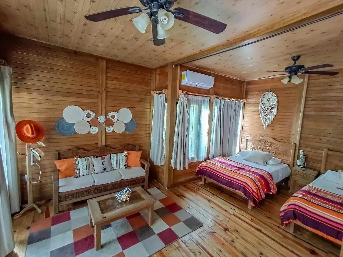 Alicat Villas Tulum